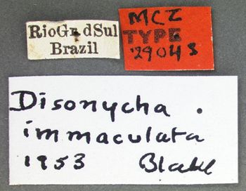 Media type: image;   Entomology 29043 Aspect: labels